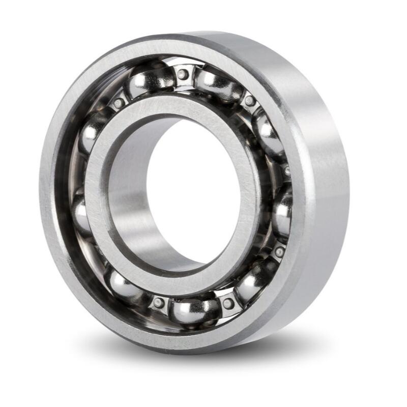 SS6002-2RS Bearing