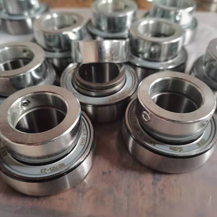 RAE25-NPPB bearing 